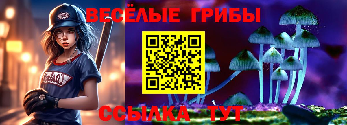 Конаково  Псилоцибиновые грибы Psilocybe  Вход с VPN 