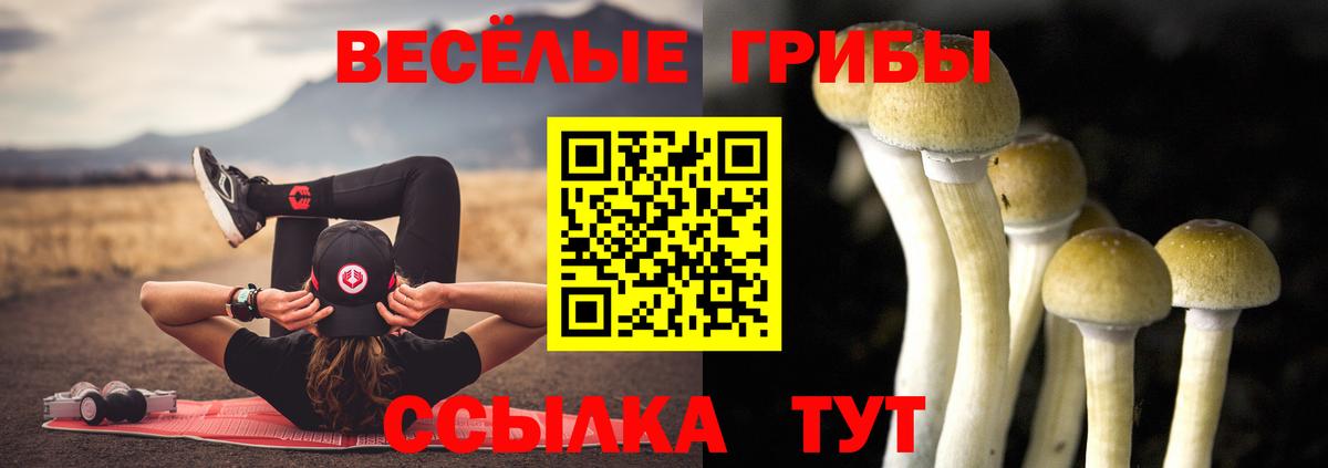Псилоцибиновые грибы Magic Shrooms Конаково