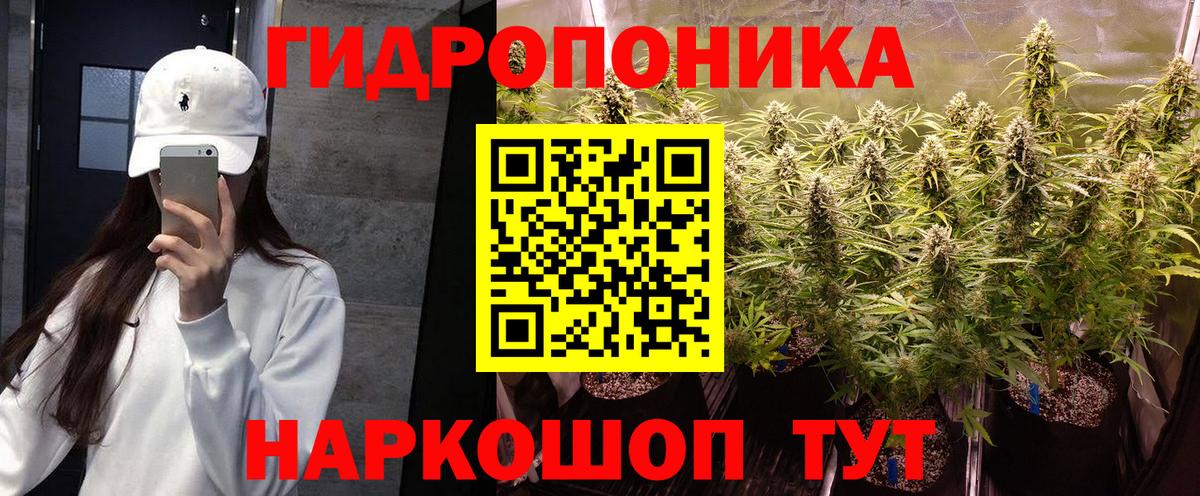 Конаково  Конопля Bruce Banner  Шишки марихуана тримм  Вход с VPN  Каннабис конопля 